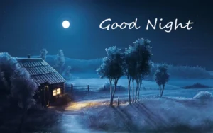 Good Night Shayari for Friends in Hindi